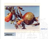 KOLEKSI PAMERAN ALAM SEMULAJADI 1994