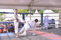 HMA 2025- 26.7.2025 -  PERTUNJUKAN TAEKWONDO