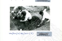 ARKEOLOGI SG. MAS, KEDAH SM : 32-3/93 VOL : 6 HP