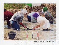 ARKEOLOGI KOTA KAYANG PERLIS 2002 JILID 2