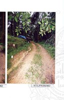 ARKEOLOGI TAMPAN, LENGGONG, PERAK JILID 4