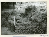 ARKEOLOGI BENDANG DALAM TPK 50 1974