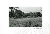 ARKEOLOGI SG. MAS, KEDAH SM : 32-3 / 93 VOL : 9 HP