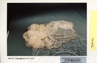 BAHAN PAMERAN MERENTASI SAMUDERA (JILID 1)