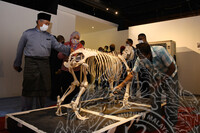 SESI WALK ABOUT  KSU KEM.  PELANCONGAN, SENI &  BUDAYA MALAYSIA , DR. YBhg. DATUK WIRA DR. NOOR ZARI BIN HAMAT  SEMPENA PENGOPERASIAN SEMULA MUZIUM NEGARA