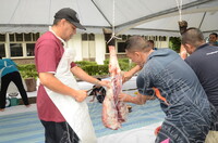 PROGRAM IBADAH QURBAN DAN AQIQAH 1440H 2019