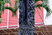 PENDOKUMENTASIAN KONDISI TIANG KELIERING BAGI TUJUAN KONSERVASI