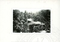 ARKEOLOGI SG. MAS, KEDAH SM, 32-4,93 VOL,3 HP FASA 4 LOKASI, POKOK, LAWATAN, CERAMAH, AKTIVITI - HITAM/ PUTIH. HASSAN