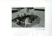 ARKEOLOGI SG. MAS, KEDAH SM : 32-3/93 VOL : 9 HP