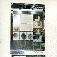 BAHAN PAMERAN DURIAN RAJA SEGALA BUAH