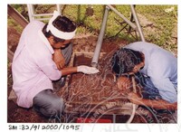 ARKEOLOGI SG. MAS, KEDAH SM : 32-9/2000 (JILID 6)