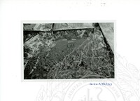 ARKEOLOGI SG. MAS, KEDAH SM : 32 - 3 / 93 8 HP