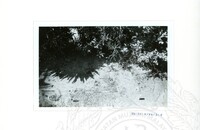 ARKEOLOGI SG. MAS, KEDAH SM: 32-4/ 93 VOL: 2 HP