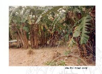 ARKEOLOGI SG. MAS, KEDAH SM: 32-7/95 (JILID 4) (WARNA)