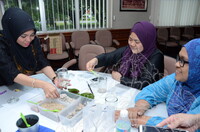 BENGKEL TERRARIUM PUSPANITA