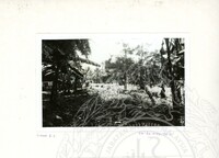 ARKEOLOGI SG. MAS, KEDAH SM, 32-4,93 VOL,3 HP FASA 4 LOKASI, POKOK, LAWATAN, CERAMAH, AKTIVITI - HITAM/ PUTIH. HASSAN