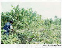 ARKEOLOGI SG. MAS, KEDAH SM: 32/ 2001/ 1-251 (JILID 1)