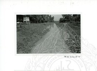 ARKEOLOGI SG. MAS, KEDAH SM : 32-3 / 93 VOL : 9 HP