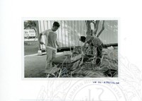 ARKEOLOGI SG. MAS, KEDAH SM : 32-3/93 VOL : 9 HP