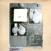 BAHAN PAMERAN DURIAN RAJA SEGALA BUAH