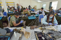 KURSUS KONSERVASI PERSENJATAAN ERA PERANG DI MUZIUM TENTERA , PORT DICKSON