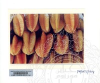 KOLEKSI PAMERAN ALAM SEMULAJADI 1994