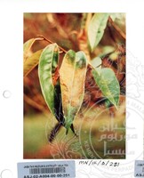 PAMERAN DURIAN RAJA SEGALA BUAH