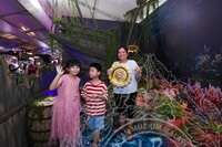 HMA 2025- 26.7.2025 - AKTIVITI BENDANG PAGI (AWAM), SUASANA AKTIVITI SISIPAN DALAM MUZIUM & SEKITAR MUZIUM