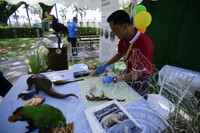 HMA 2024 - SPEED DATING WITH MUSEUM PRACTITIONERS