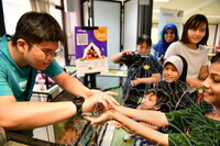 HMA 2024 - BUTTERFLY WING WORKSHOP BY ENTOPIA PENANG