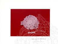 ARKEOLOGI SG. MAS, KEDAH SM : 32-7/94 (WARNA)