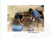 ARKEOLOGI SG. MAS, KEDAH SM: 32 - 5/ 93 VOL: 2 W