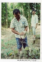 BANGUNAN MUZIUM ARKEOLOGI LEMBAH BUJANG KEDAH - JILID 4