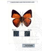 ALAM SEMULAJADI RAMA-RAMA JILID 1