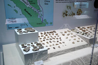 GALERI A (Sejarah Awal)