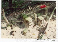 BANGUNAN MUZIUM ARKEOLOGI LEMBAH BUJANG KEDAH - JILID 4