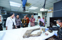 LAWATAN KERJA MS JANE GERARDO ABAYA, DIRECTOR OF DEPT OF TECHNICAL COOPERATION, ASIA & PACIFIC DIVISION, IAEA KE JMM DAN MUZIUM NEGARA