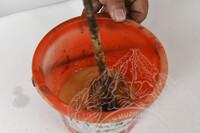 KERJA-KERJA PENYELIDIKAN DI PAHANG, TERENGGANU, KELANTAN