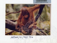 PAMERAN KEINDAHAN ALAM 1994 3