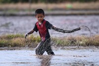 HMA 2025- 26.7.2025 - AKTIVITI BENDANG PAGI (AWAM), SUASANA AKTIVITI SISIPAN DALAM MUZIUM & SEKITAR MUZIUM