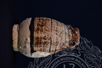 GAMBAR KOLEKSI KAPAL KARAM NANYANG, SUKOTHAI