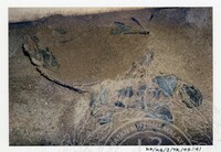 ARKEOLOGI KG. GAUNG TERENGGANU 1996