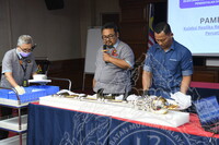 PERCAMBAHAN ILMU - PROGRAM AICE 2025