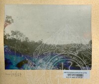 SEJARAH KOLEKSI JOHOR