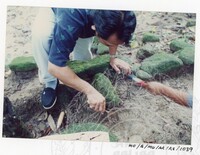 BANGUNAN MUZIUM ARKEOLOGI LEMBAH BUJANG KEDAH - JILID 4