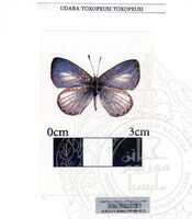 ALAM SEMULAJADI RAMA-RAMA JILID 1