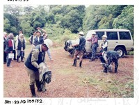 ARKEOLOGI SG, MAS, KEDAH SM: 32-12/ 99