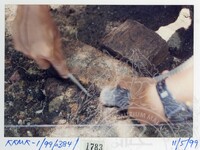 ARKEOLOGI KOTA KUALA MUDA 1999 JILID 7