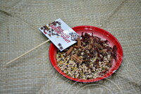 PROGRAM JANGKAU LUAR MUZIUM NEGARA DI IIC KUALA LUMPUR