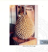 PAMERAN DURIAN RAJA SEGALA BUAH